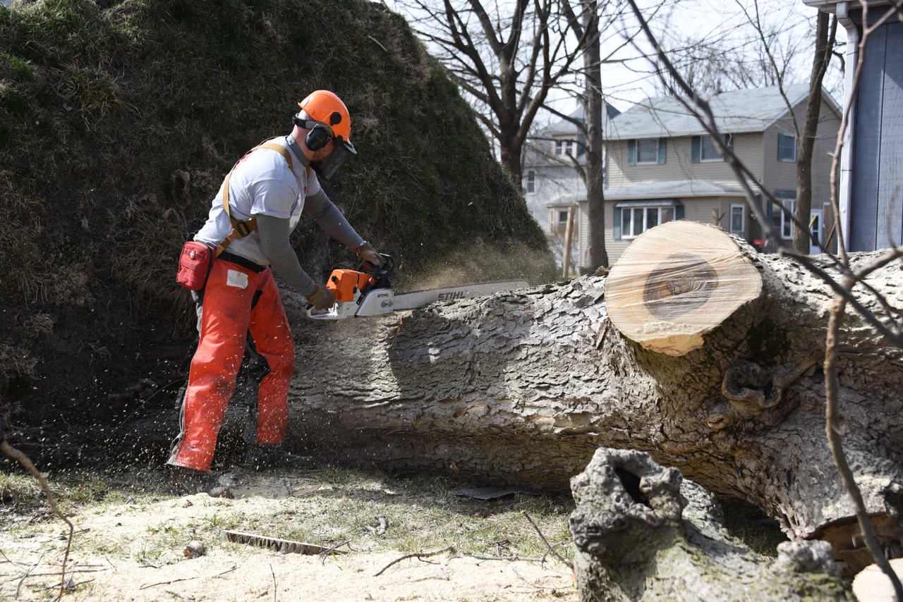 A helmeted volunteer uses a chainsaw on a large fallen tree beside a house.